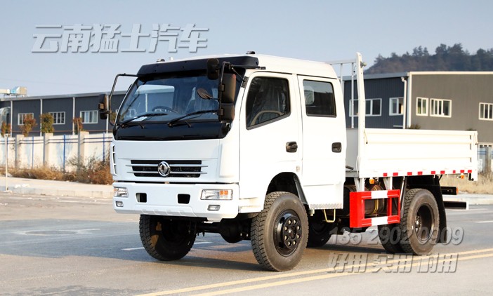 右舵卡車,雙排卡車,出口專用車定制,4*4右駕貨車,越野卡車,全驅車出口
