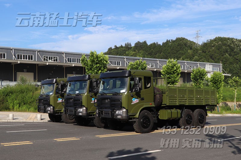六驅卡車,拉木料卡車,車輛出口